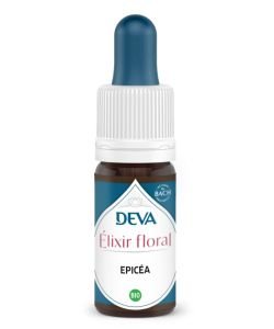 Epicéa BIO, 15 ml